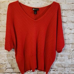 Lane Bryant size 22/24 top